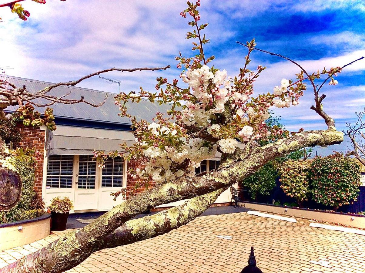 Kurrajong House Bed and Breakfast Launceston Exteriör bild