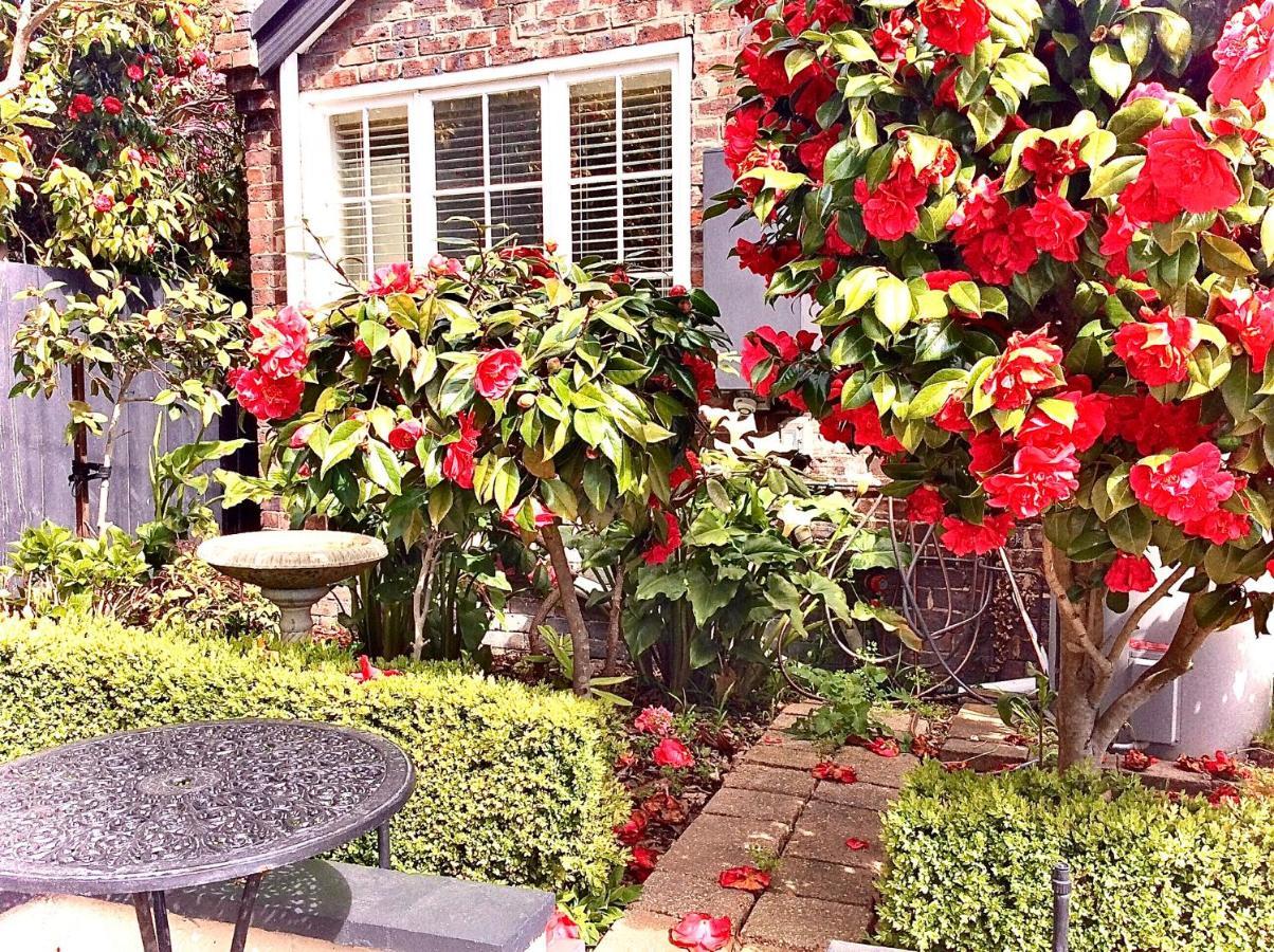 Kurrajong House Bed and Breakfast Launceston Exteriör bild